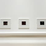 Gosia Walton, I want to be a tree 17, 2025