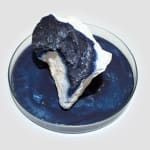 Anne Bevan RSA (Elect) + Mark Edmonds, all manner of singular forms (Erratic 9), 2024