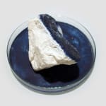 Anne Bevan RSA (Elect) + Mark Edmonds, all manner of singular forms (Erratic 9), 2024