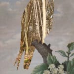 Wendy McMurdo RSA, Lost Birds (i)