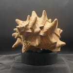 Doug Cocker RSA, Little Monuments 7, 2025