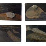 Frances Pelly RSA, Orkney Landscapes (Montgomery's Barley, Gairsay, Gloup, Floating Field), 2024