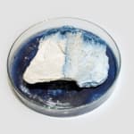 Anne Bevan RSA (Elect) + Mark Edmonds, all manner of singular forms (Erratic 9), 2024