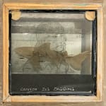 Elspeth Lamb RSA, Divertissement 3