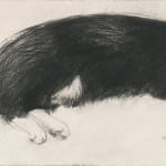 Elizabeth Blackadder RSA, Black Cat, 1982
