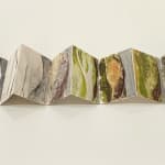 Frances Pelly RSA, Quarries, 2024
