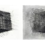 Soo Sunny Park, Diptych: two cages, 2020