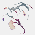 Constance Lowe, Graft (Accessory), 2005/2012