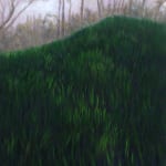 Ashley Perez, Winter Grass, 2023