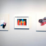 Chuck Ramirez, Purse Portraits: MFAH (Cynthia), 2005