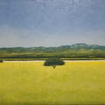 Luis Gal, Palm, 2010