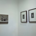 Liliana Porter, Niña/León, 2010