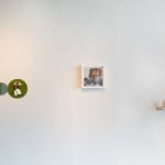 Kate Terrell, Pollux at Dusk, 2017-8
