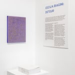 Cecilia Biagini, Balance and Stability, 2010