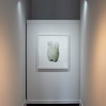 Kate Terrell, Pollux at Dusk, 2017-8