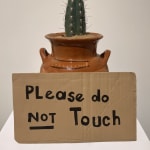 Alejandro Diaz, Please Do Not Touch, 2009