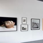 Graciela Iturbide, Sahuaro, Desierto de Sonora, Mexico, 1979