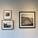 Graciela Iturbide, Sahuaro, Desierto de Sonora, Mexico, 1979