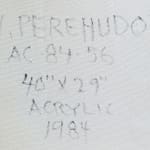 William Perehudoff, AP-80-104, 1980