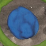 William Perehudoff, AP-89-036, 1989