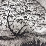 David Blackwood, Gram Glover's Tree on Bragg's Island, 1999