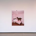 Juan Mejia, Carnivorous Flower No.2, Dark grey & pink "M", 2022