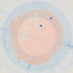 Juan Mejia, Carnivorous Flower No.2, Dark grey & pink "M", 2022