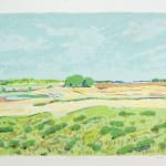 Dorothy Knowles, Summer Day, 1984
