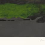 Helen Frankenthaler, Flotila, 2006