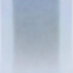 Armin Turk, Landscape, 2012