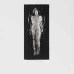 Laurence Demaison, Source No. 5, 2002
