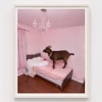 Juan Mejia, Carnivorous Flower No.2, Dark grey & pink "M", 2022