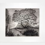 David Blackwood, Gram Glover's Tree on Bragg's Island, 1999