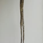 Robin Horsch, Untitled, 2011
