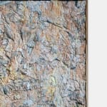 Larry Poons, Barcelon, 1987-88