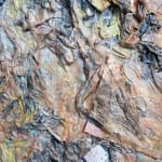 Larry Poons, Barcelon, 1987-88