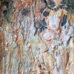 Larry Poons, Barcelon, 1987-88