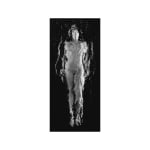 Laurence Demaison, Source No. 5, 2002