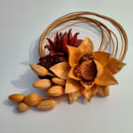 Amit Dey, Blooming 2