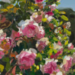 Jan de Vliegher, Roses 26, 2022
