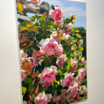 Jan de Vliegher, Roses 26, 2022