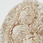 Erum Aamir, Noctis Hortus, 2025