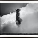 David Yarrow, Wet Wet Wet