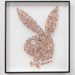 Charles Patrick, ZAP, 2017