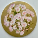 Crystel Ceresa, Sakura Golden Blossom