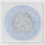 Charles Patrick, ZAP, 2017