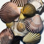 Renée Levin, Tiger Nautilus, 2024
