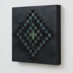 Sally Barron, Fragments of a Walk, 2024