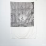 Sally Barron, Fragments of a Walk, 2024