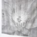 Sally Barron, Fragments of a Walk, 2024